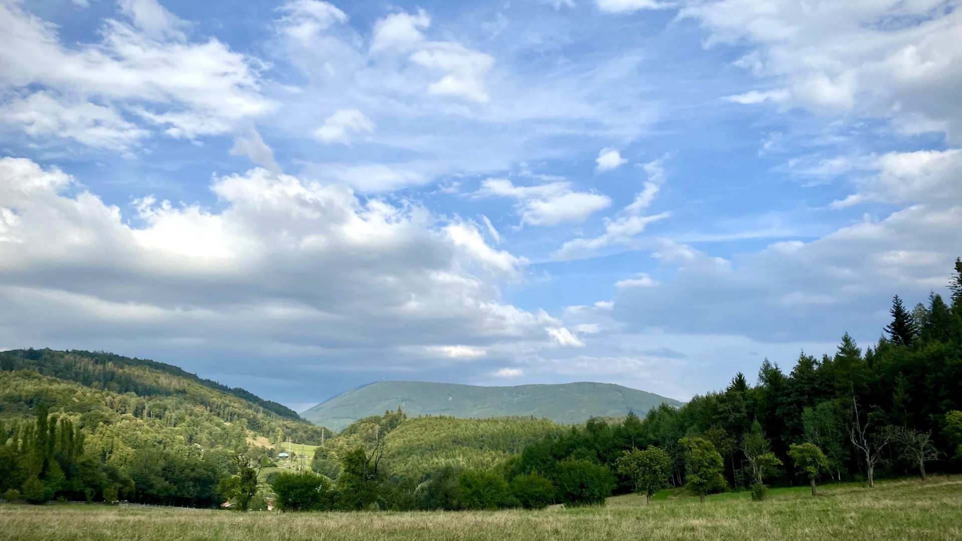 Uklidňující zeleň vůkol...