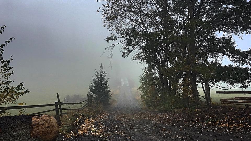 Už jste někdy viděli mloka skvrnitého? Ne? Tak se pozorně dívejte kolem sebe, tady žijí...