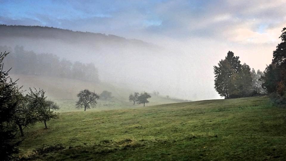 Mlha, klid, rozjímání, podzim.